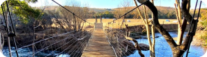 Read more about the article Hennops Hiking Trail