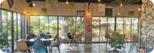 Read more about the article Tin Roof Eatery