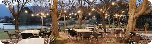 You are currently viewing Van Gaalen Cheese Farm